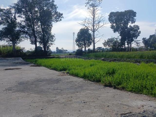Land for sale in Doiwala, Uttarakhand