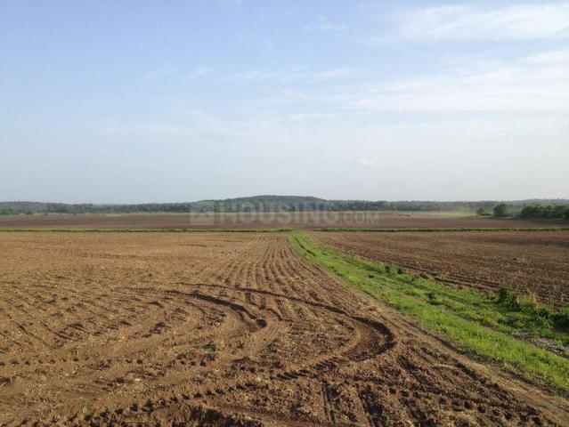 Land for sale in Telangana