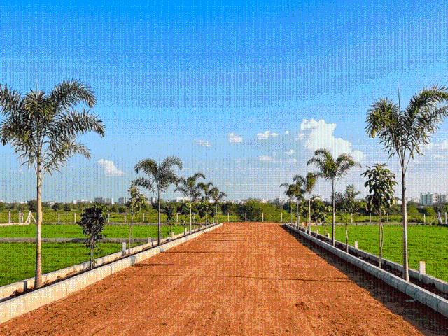 Land for sale in Raipur