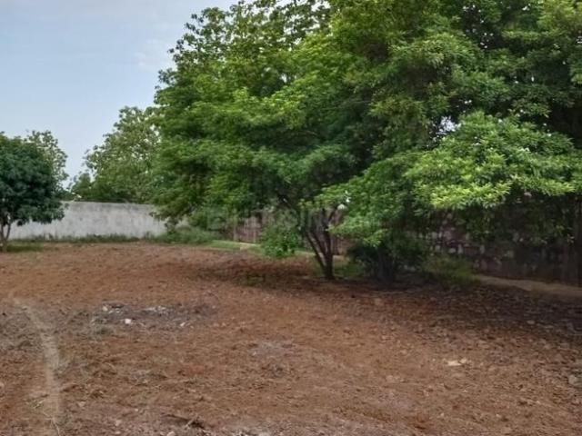 Land for sale in Fatehpur Beri, Delhi