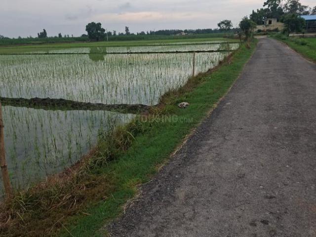 Land for sale in Garhmuktesar, Arunachal Pradesh