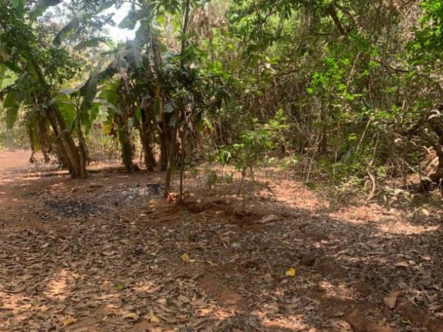 Land for sale in Juipada, Gorai