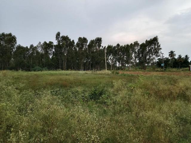 Land for sale in Karnataka