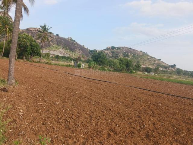 Land for sale in Karnataka
