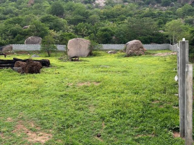 Land for sale in Ranga Reddy, Manchal