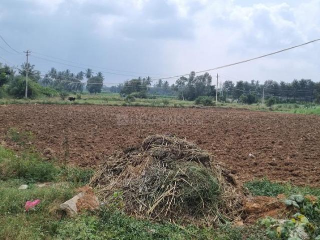 Land for sale in Bangalore East, Cox Town - Bangalore