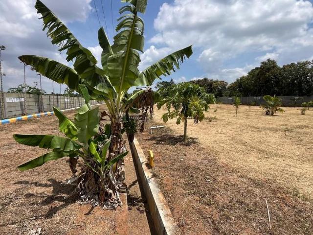 Land for sale in Hunsur, Karnataka