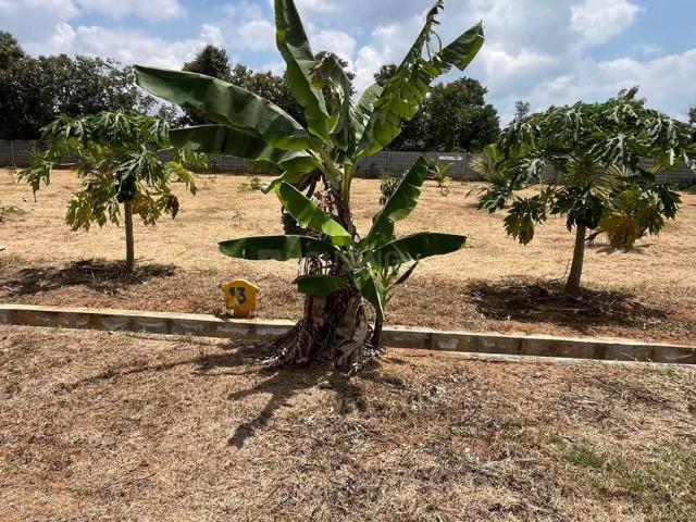 Land for sale in Hunsur, Karnataka