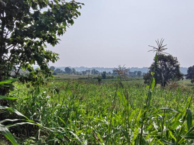 Land for sale in Tilwari, Dehradun