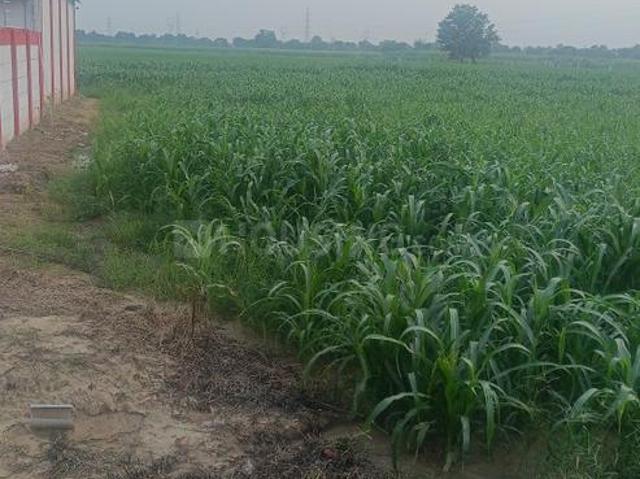 Land for sale in Jhajjar