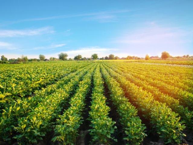 Land for sale in Jhajjar