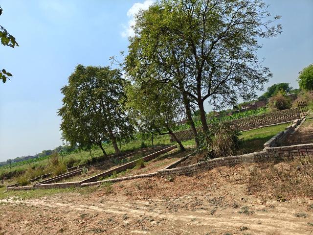 Land for sale in Dadanpur, Arunachal Pradesh