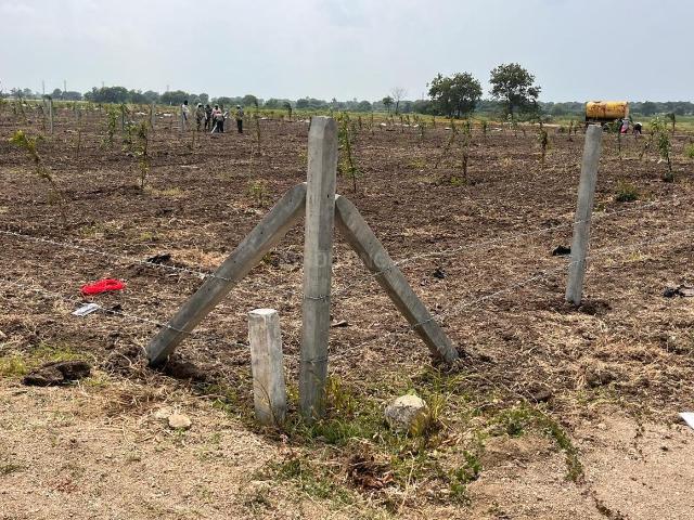 Land for sale in Jogipet, Sangareddy