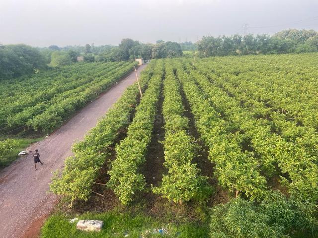 Land for sale in Raipur, Chhattisgarh