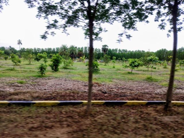 Land for sale in Kanchipuram