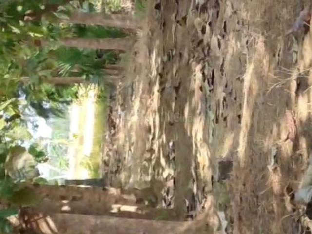 Land for sale in Cheyyur, Tamil Nadu