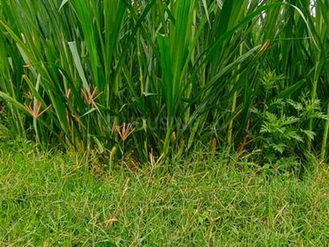 Land for sale in Ranga Reddy, Peddapalli
