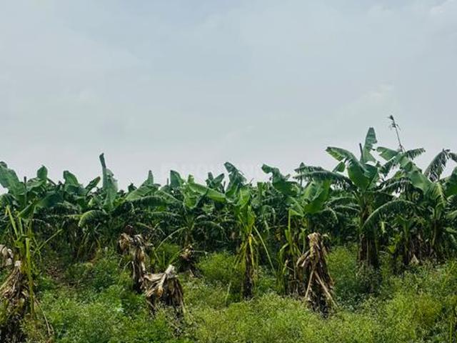Land for sale in Durg, Chhattisgarh
