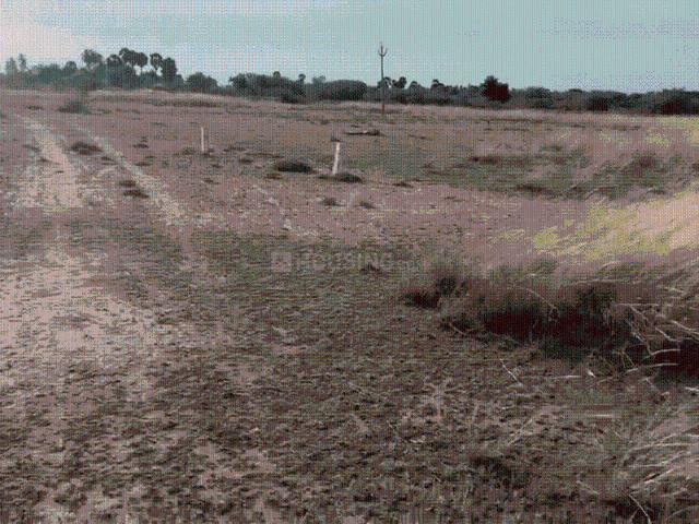Land for sale in Kariapatti, Tamil Nadu