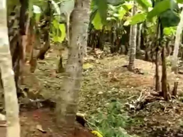 Land for sale in Trivandrum