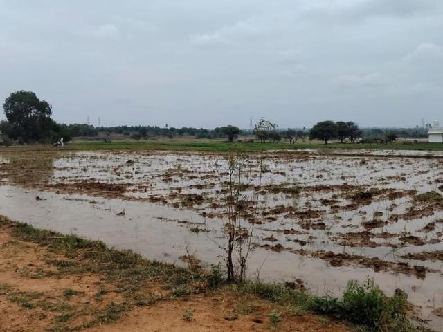 Land for sale in Kisara, Telangana