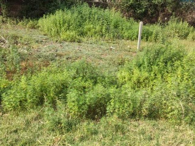 Land for sale in Kharar, Punjab
