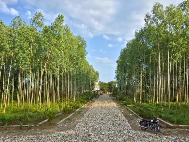 Land for sale in Behat, Arunachal Pradesh