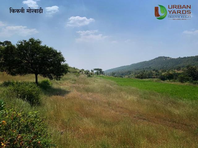 Land for sale in Kikvi, Pune