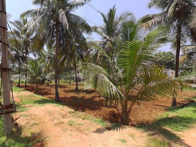 Land for sale in Andhra Pradesh