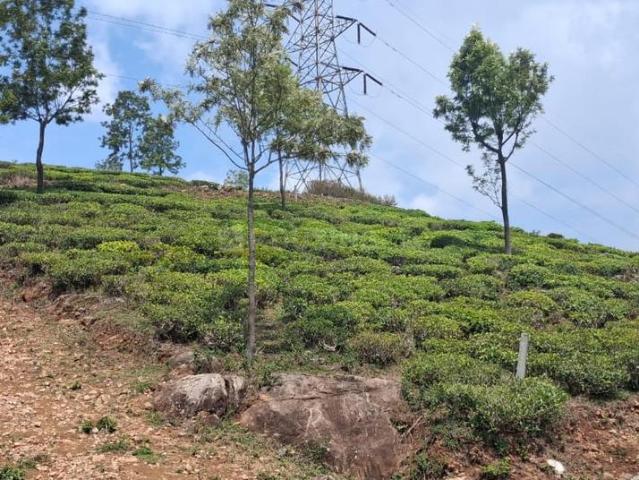 Land for sale in Kotagiri, Tamil Nadu