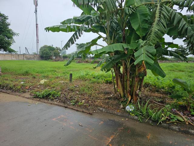 Land for sale in Madya