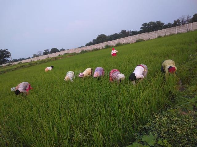Land for sale in Telangana