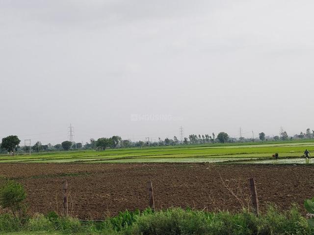 Land for sale in Rajasthan