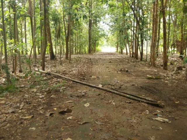 Land for sale in Mettuppalayam, Coimbatore