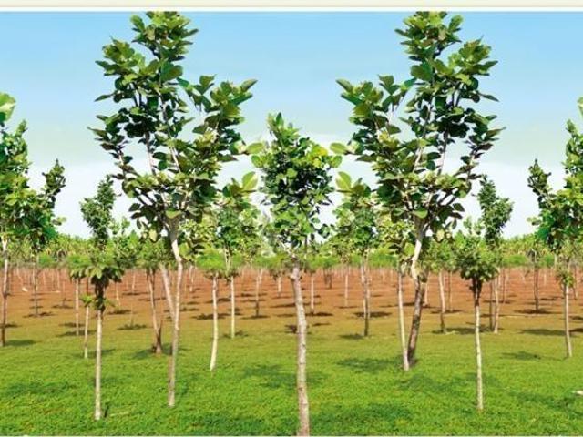 Land for sale in Tamil Nadu