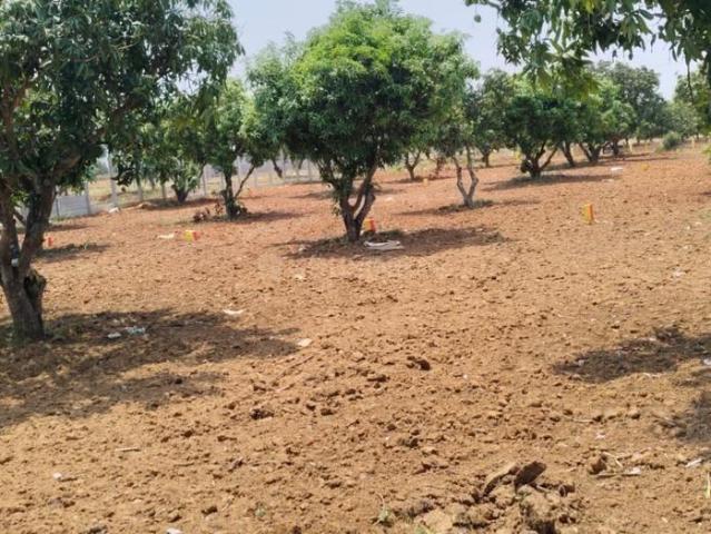 Land for sale in Mulbagal, Karnataka