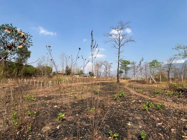 Land for sale in Murbad, National Capital Territory Of Delhi