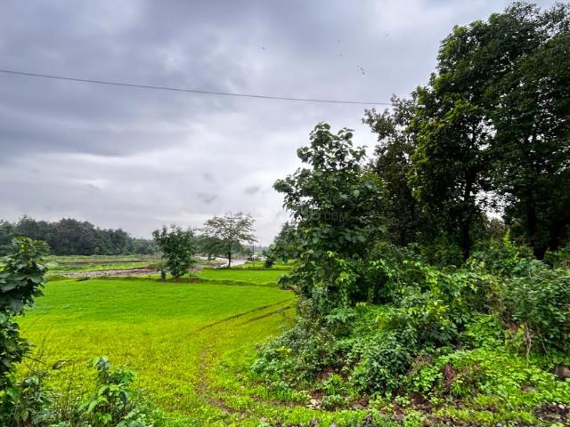 Land for sale in Murbad, National Capital Territory Of Delhi