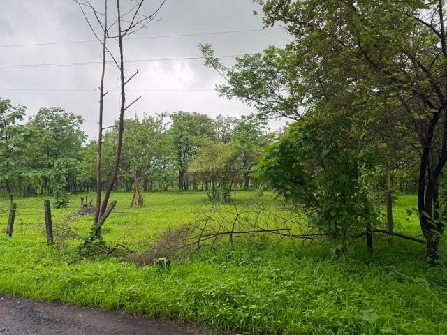 Land for sale in Murbad, National Capital Territory Of Delhi