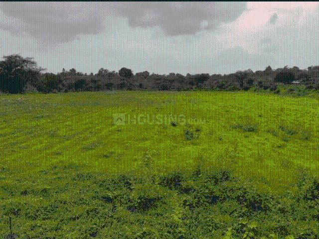 Land for sale in Murbad, National Capital Territory Of Delhi