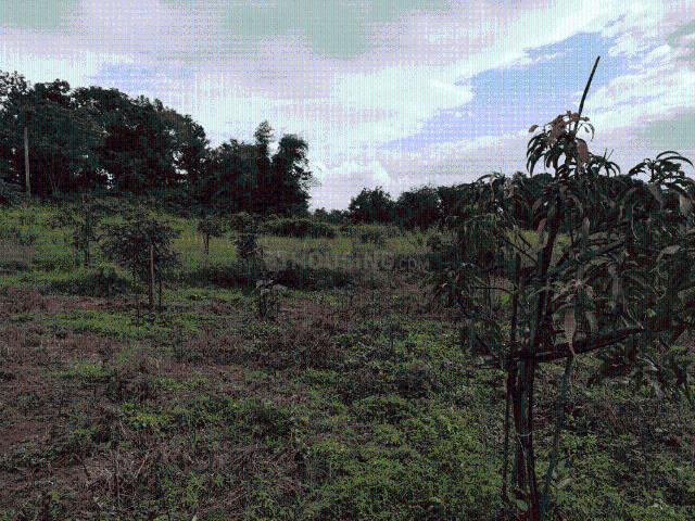 Land for sale in Murbad, National Capital Territory Of Delhi