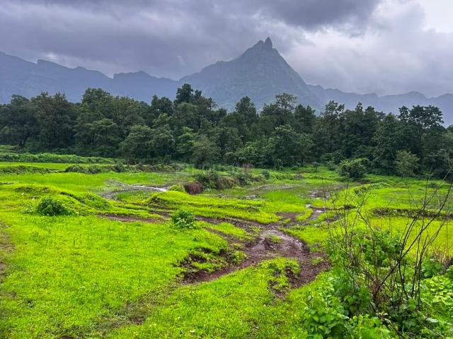 Land for sale in Murbad, National Capital Territory Of Delhi