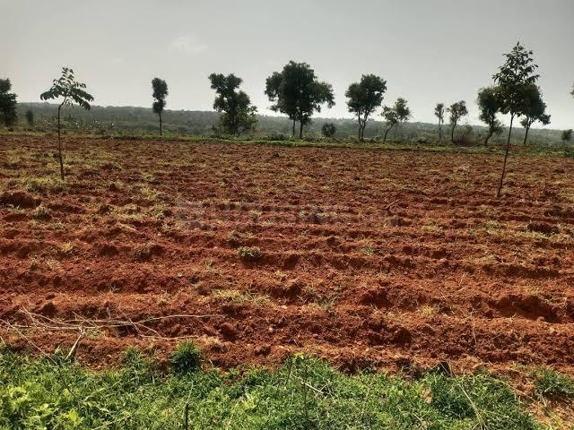 Land for sale in Murbad, National Capital Territory Of Delhi