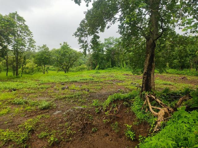 Land for sale in Murbad, National Capital Territory Of Delhi