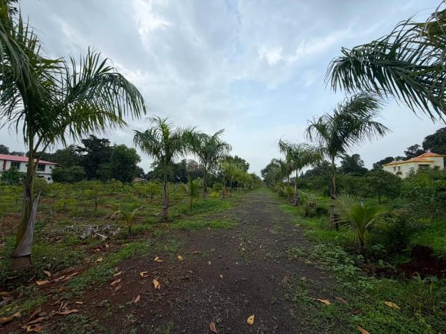 Land for sale in Murbad, National Capital Territory Of Delhi