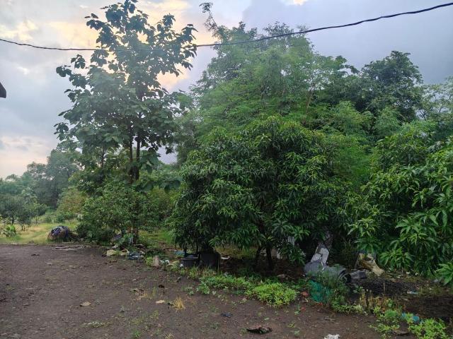 Land for sale in Murbad, National Capital Territory Of Delhi