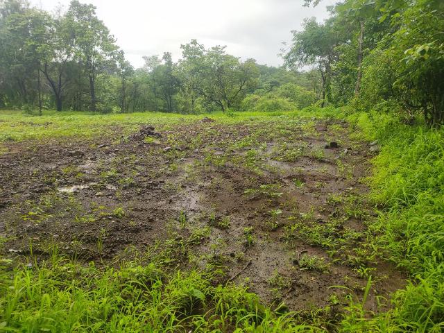 Land for sale in Murbad, National Capital Territory Of Delhi