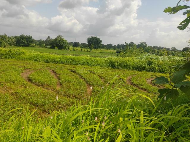Land for sale in Murbad, National Capital Territory Of Delhi