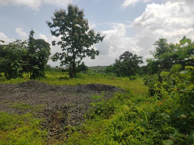 Land for sale in Murbad, National Capital Territory Of Delhi