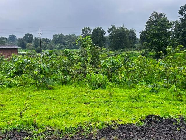 Land for sale in Murbad, National Capital Territory Of Delhi
